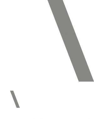 agnoni logo