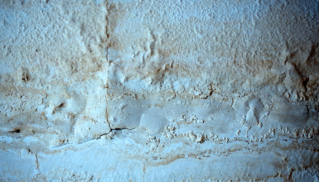 umidita-di-risalita-e-muri-umidi--10-